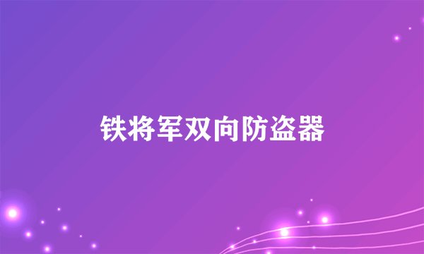 铁将军双向防盗器