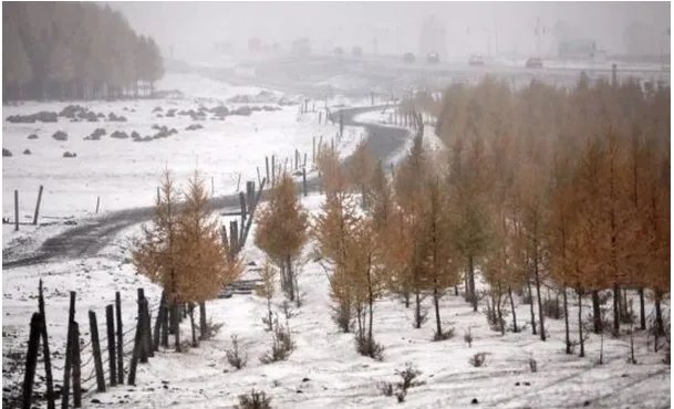 北方开启速冻模式此次冷空气活动范围包括哪些地区？