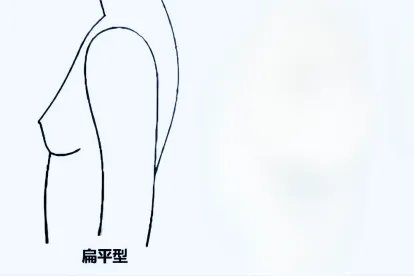 6种胸型是哪6种图片