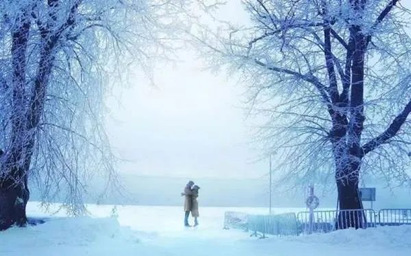 遇见王沥川评分为什么那么高