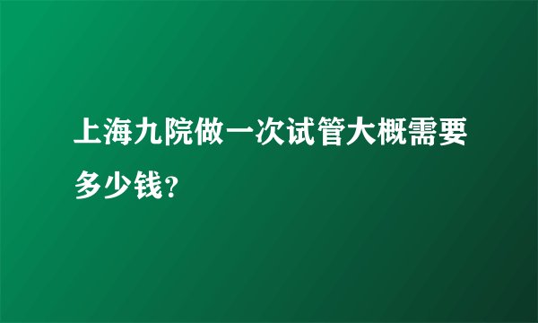 上海九院做一次试管大概需要多少钱？