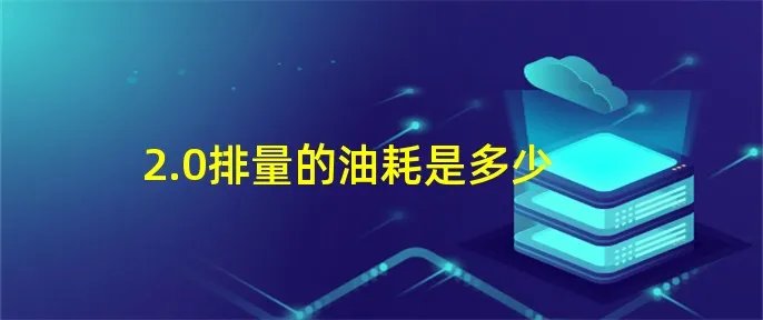 2.0排量的油耗是多少