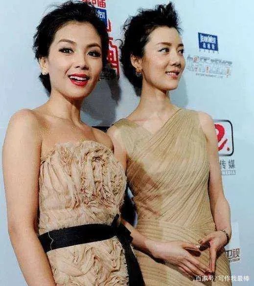 网友笑称刘涛与车晓同框的时候，网友说一个像村姑一个像贵妇，该如何看？