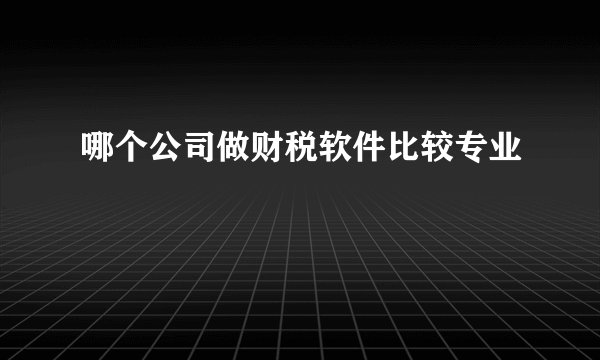 哪个公司做财税软件比较专业