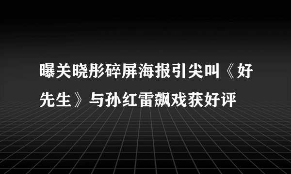 曝关晓彤碎屏海报引尖叫《好先生》与孙红雷飙戏获好评