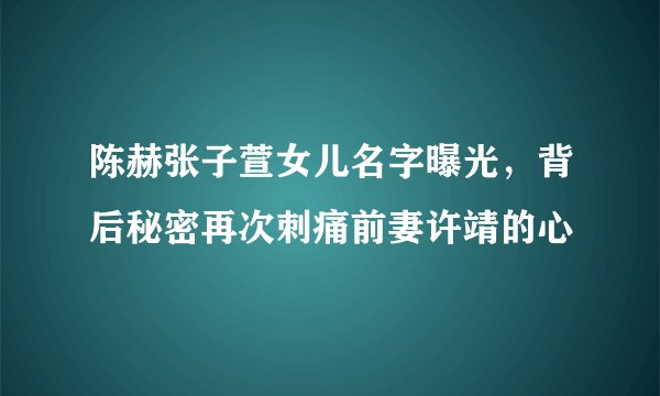 陈赫张子萱女儿名字曝光，背后秘密再次刺痛前妻许靖的心