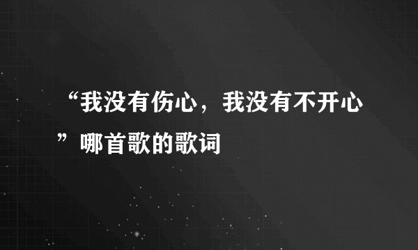 “我没有伤心，我没有不开心”哪首歌的歌词
