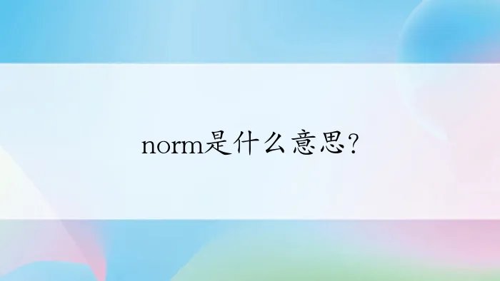 norm是什么意思？