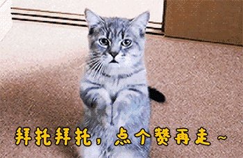 猪价全面暴跌！猪肉降入20元时代，10元猪肉还远吗？