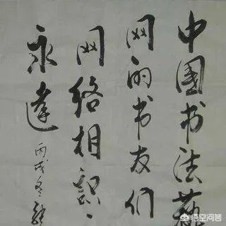 老演员张金玲简历？