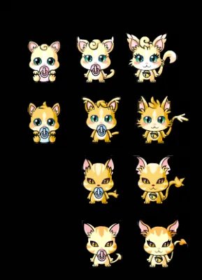 《我的小傻瓜》新宠定名“小迷狐”