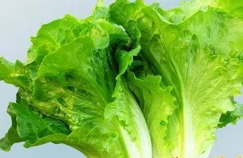 灰指甲的治疗土方法