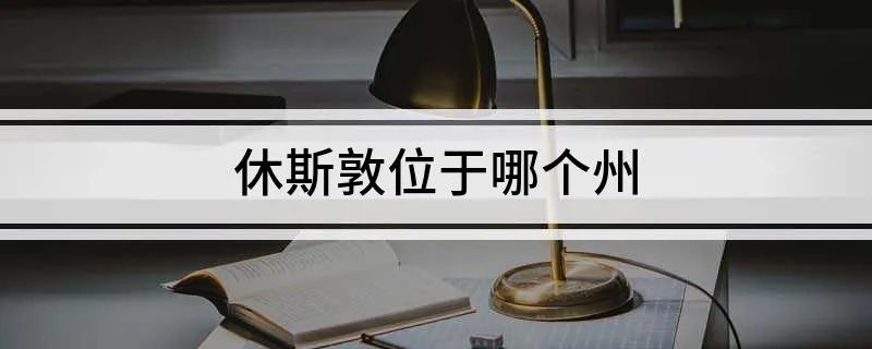 休斯敦位于哪个州