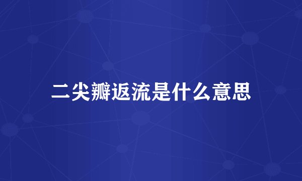 二尖瓣返流是什么意思