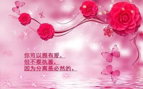 和吞天鼎一起重生小说奇幻柳无邪徐凌雪整本阅读