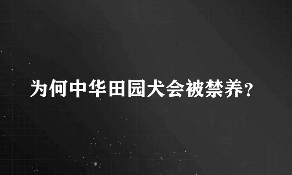 为何中华田园犬会被禁养？