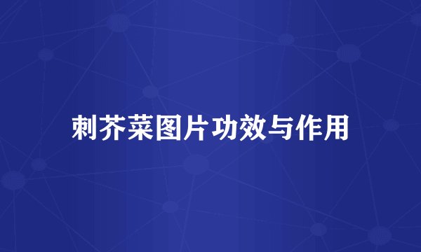 刺芥菜图片功效与作用