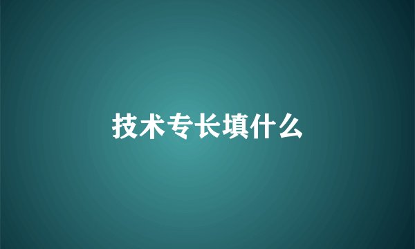 技术专长填什么
