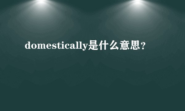 domestically是什么意思？
