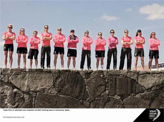 爱生雅集团的爱生雅历史