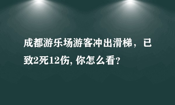 成都游乐场游客冲出滑梯，已致2死12伤, 你怎么看？