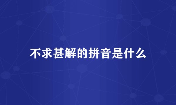 不求甚解的拼音是什么