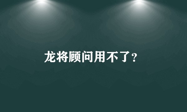 龙将顾问用不了？