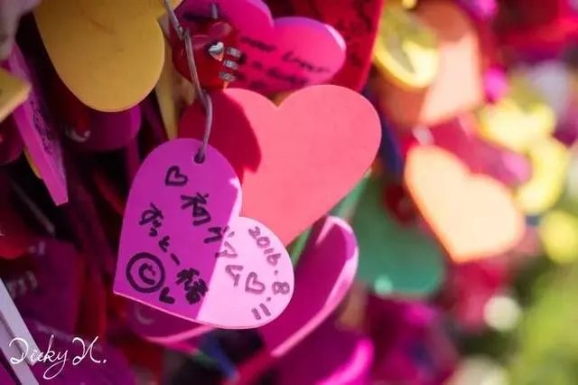 国内海岛旅游与国外海岛旅游的差异有哪些？