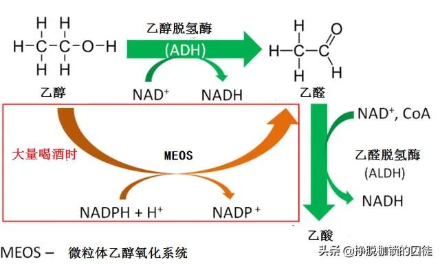 如何看待3男子黄瓜配花生米喝117瓶啤酒？