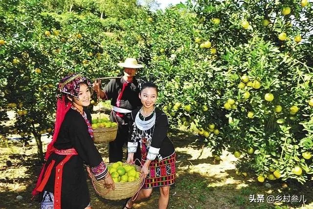 海南有哪些可以作为礼品的特产？