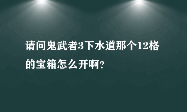 请问鬼武者3下水道那个12格的宝箱怎么开啊？