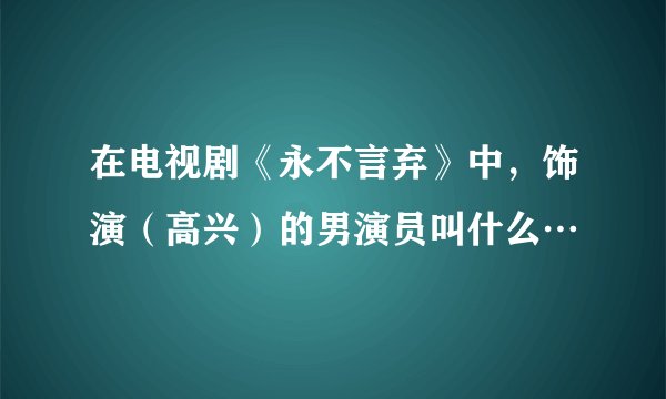 在电视剧《永不言弃》中，饰演（高兴）的男演员叫什么…