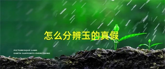怎么分辨玉的真假