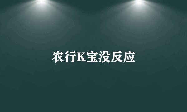 农行K宝没反应