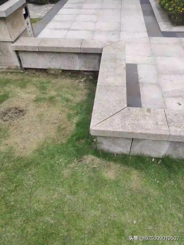 请问对“中国平安保险公司”入股“汇丰银行”事件你们有何看法？