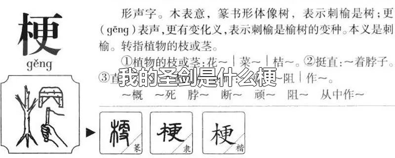 我的圣剑是什么梗