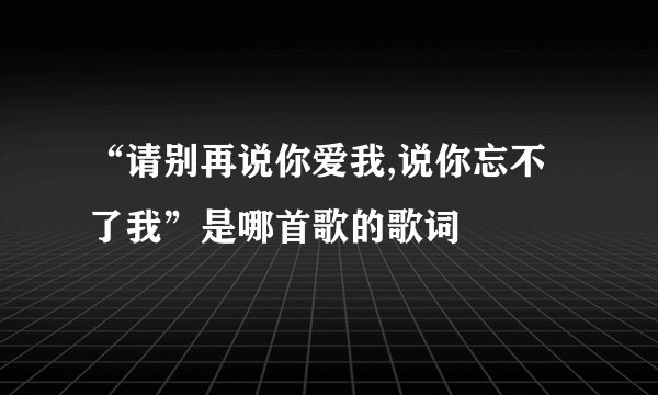“请别再说你爱我,说你忘不了我”是哪首歌的歌词