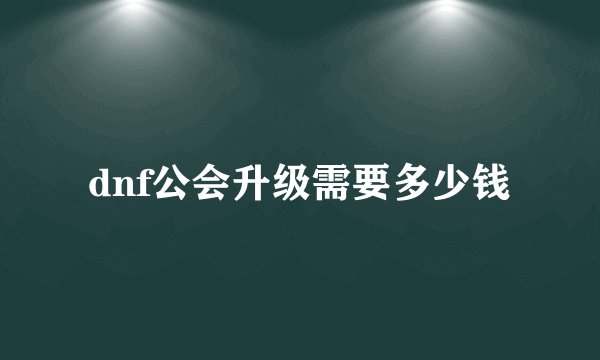 dnf公会升级需要多少钱