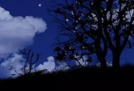 子时是几点到几点钟？