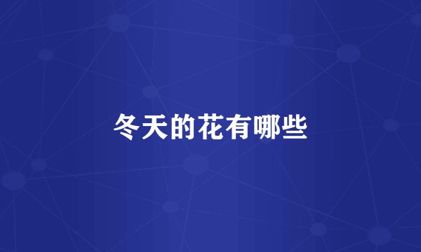 冬天的花有哪些