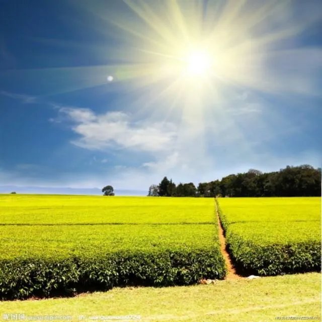 “热热热，凉风去哪了”，你能对出下联吗？