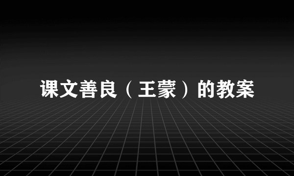 课文善良（王蒙）的教案