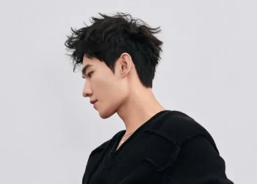 杨洋羊毛发型尽显魅力，他有哪些出圈的造型？