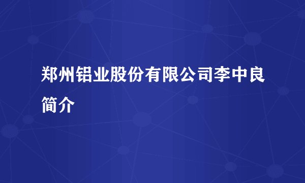 郑州铝业股份有限公司李中良简介
