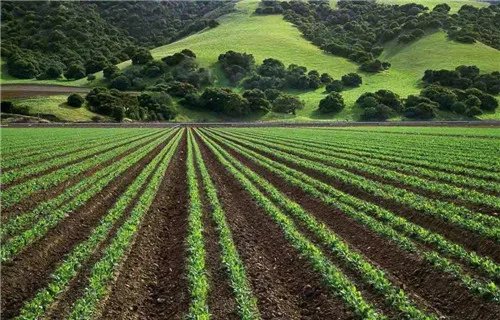 土地面积怎么算
