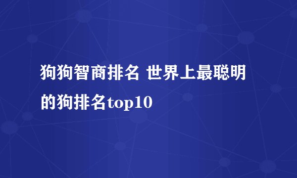狗狗智商排名 世界上最聪明的狗排名top10