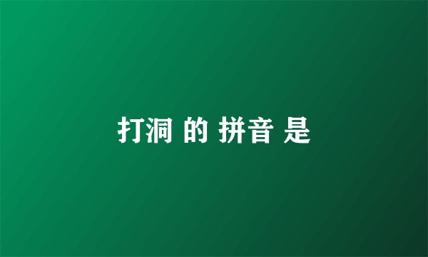 打洞 的 拼音 是
