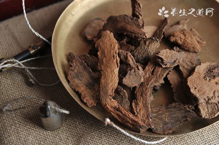 【狗狗常见皮肤病】杜宾犬得了皮肤病怎么办?