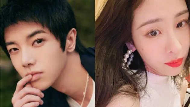 为什么张碧晨被除名