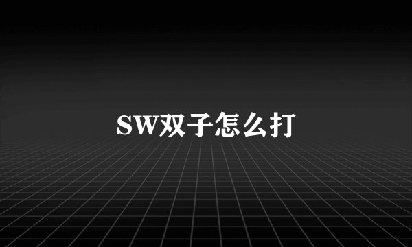 SW双子怎么打